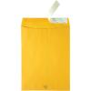 Quality Park High Bulk Catalog Envelope, 9 x 12 Inches, Kraft, Redi-Strip, Box of 250 (41420)
