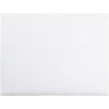 Quality Park Large Format/Catalog Envelopes, 9 x12 inches, Box of 100 (QUA37693)(9 x 12)