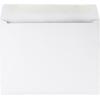 Quality Park Large Format/Catalog Envelopes, 9 x12 inches, Box of 100 (QUA37693)(9 x 12)