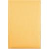 Quality Park Park Ridge Kraft Clasp Envelope, #55, Square Flap, Clasp/gummed Closure, 6 X 9, Brown Kraft, 100/box