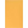 Quality Park QUA43167 Redi-Seal 6 x 9 Inch Kraft Catalog Envelopes 100 Count,Light Brown