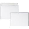 Quality Park Large Format/Catalog Envelopes, 9 x12 inches, Box of 100 (QUA37693)(9 x 12)