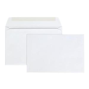 Quality Park Booklet Envelopes, Gummed, White, 6 x 9, 100 per Box, (37113)