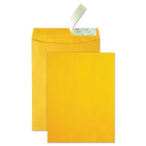Quality Park High Bulk Catalog Envelope, 10 x 13 Inches, Kraft, Redi-Strip, Box of 250 (41620)