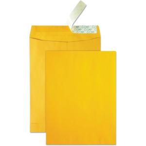 Quality Park High Bulk Catalog Envelope, 9 x 12 Inches, Kraft, Redi-Strip, Box of 250 (41420)