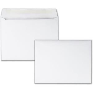 Quality Park Large Format/Catalog Envelopes, 9 x12 inches, Box of 100 (QUA37693)(9 x 12)