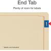 Pendaflex 16640 Conversion Folders, Straight Cut, Top Tab, Letter, Manila (Box of 100)(Letter)