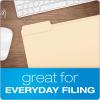 Pendaflex Interior File Folders, 1/3 Cut, Top Tab, Letter, Manila 100 Per Box, (4210 1/3)