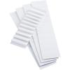 Pendaflex Blank Inserts for 1/5 Cut Hanging File Folders, 2 in, White, 100/Pack (242)(Pack of 100)