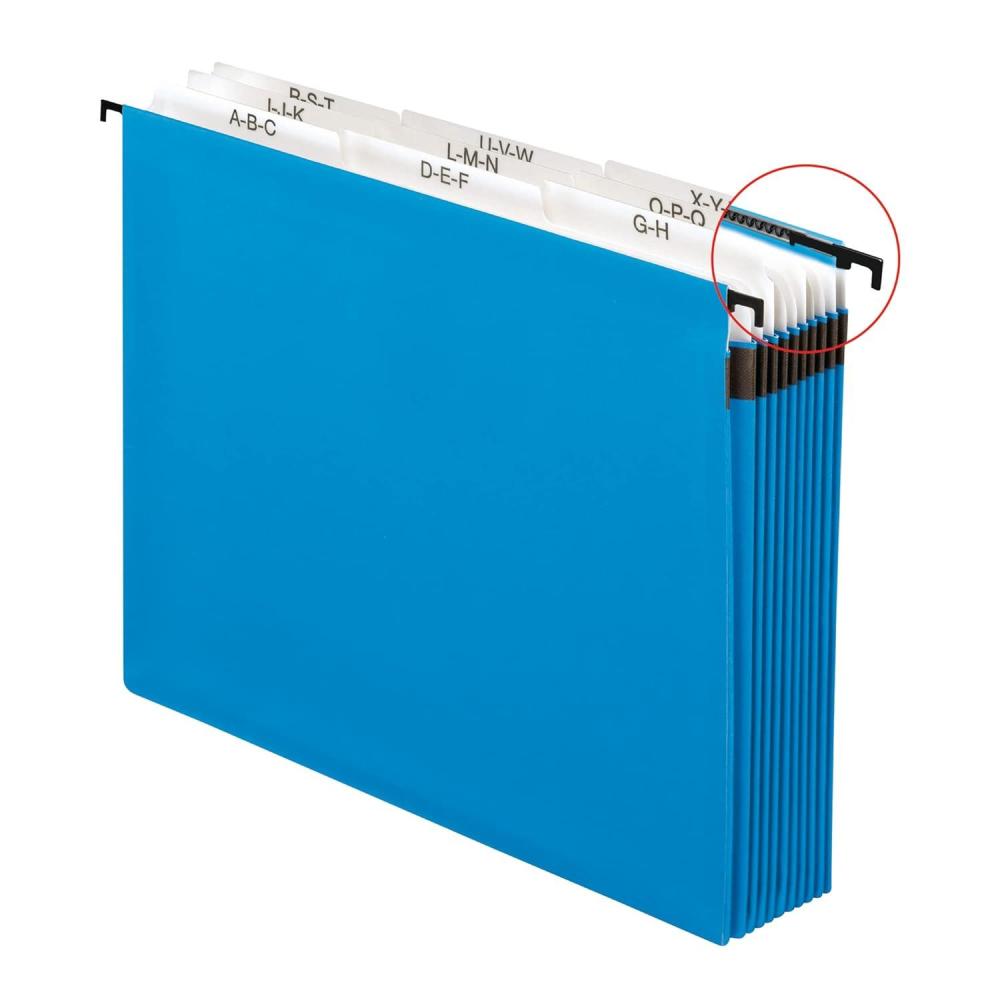 image:imagePendaflex 59225 NineSection Hanging Folder 5 14 Tabs and Labels 15 Tab Letter Blue