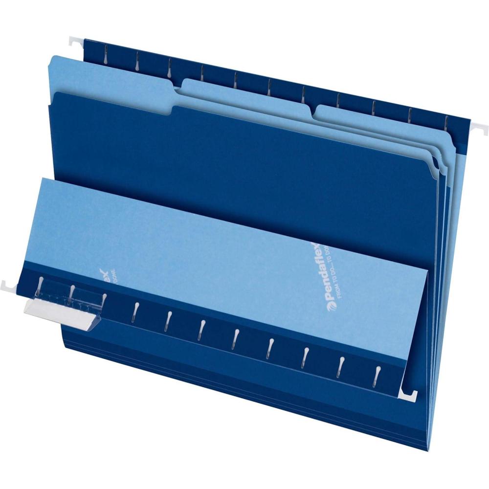 image:imagePendaflex Interior File Folders 13 Cut Top Tab Letter Size Pink 100 per Box 4210 13 PINNavy Blue