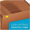 Globe Weis Globe-Weis/Pendaflex Heavy Duty 12-Pocket Expanding File, Monthly Index, Legal Size, Brown, (R219MHD)(Legal)