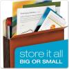 Globe-Weis/Pendaflex Tyvek File Pockets 3.5-Inch Expansion Legal Size 10-Count, Brown (64264)