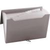 Pendaflex 13 Pocket Professional Expanding File, Letter Size, Assorted (No Color Choice) (82113)