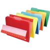 Pendaflex Interior File Folders, 1/3 Cut, Top Tab, Letter Size, Pink, 100 per Box (4210 1/3 PIN)(Bright Assort)