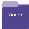 Pendaflex Interior File Folders, 1/3 Cut, Top Tab, Letter Size, Pink, 100 per Box (4210 1/3 PIN)(Violet)