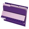 Pendaflex Interior File Folders, 1/3 Cut, Top Tab, Letter Size, Pink, 100 per Box (4210 1/3 PIN)(Violet)