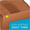 Globe Weis Globe-Weis/Pendaflex Heavy Duty Expanding File, Open Top, 1/3 Cut Tabs, 31 Daily Pockets, Brown, Legal Size (R219DHD)((Pack of 5))