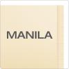 Pendaflex Reinforced Manila End-Tab Folders, Letter Size, Straight Cut, 100/BX (11035)(Letter (Pack of 5))