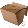 Esselte Pendaflex Full-Flap Daily Expanding Files (ESSK17DOX), Brown(Letter)