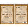 TOPS Second Nature Spiral Steno Books, Recycled, 6 x 9 Inches, Gregg Rule, Tan Cover, 70 Sheets Per Book (74690)(1 Count (Pack of 2))